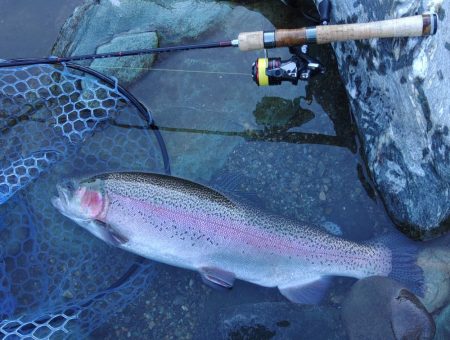アタリは多かったが… ～天竜川ルアーフライ…